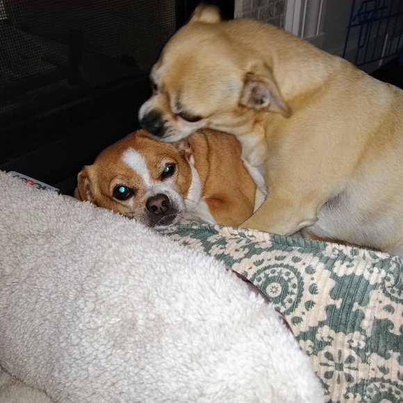 Meet your Posher, Beth - Picture 11 of 13